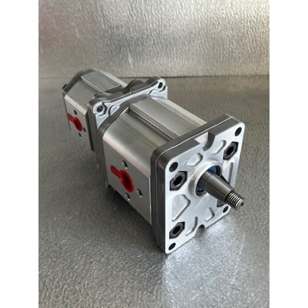 Pompe à engrenage double