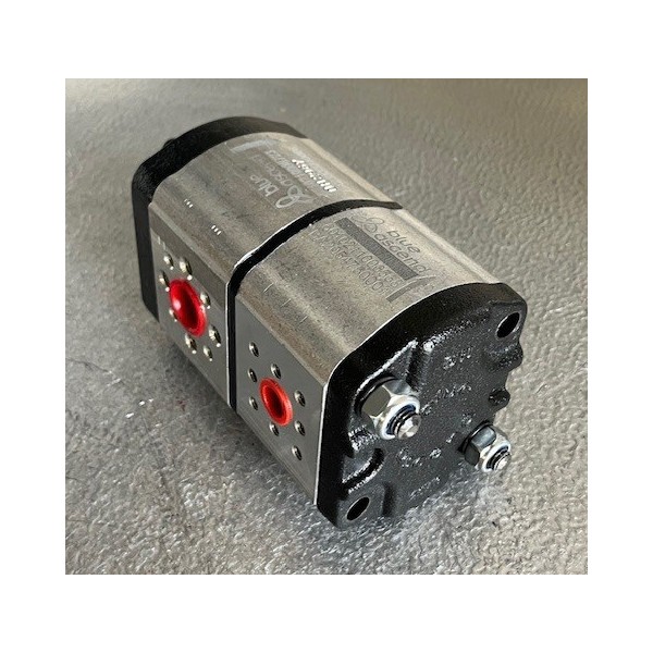 Pompe à engrenage double