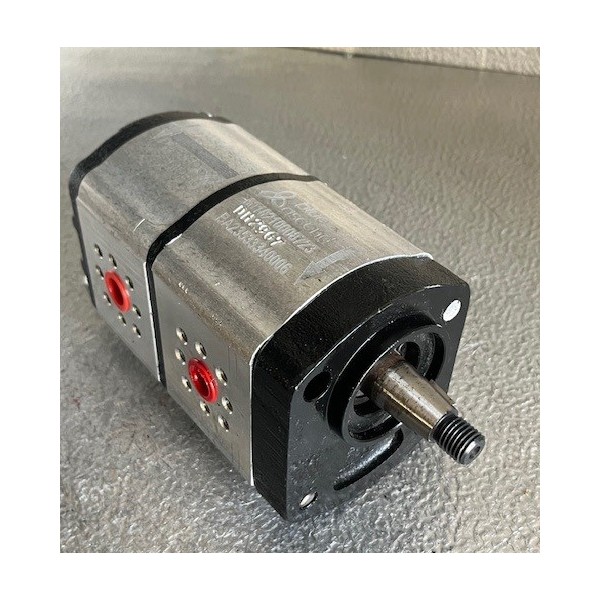 Pompe à engrenage double