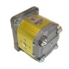 Gear motor