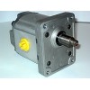 Gear motor