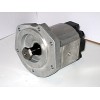 Gear pump