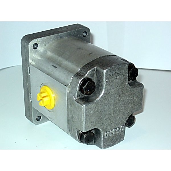 Gear motor