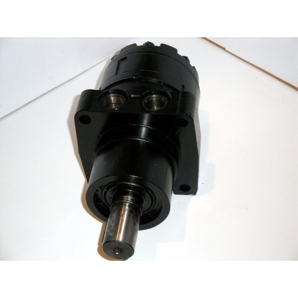 Hydraulic motor