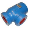 Check valve