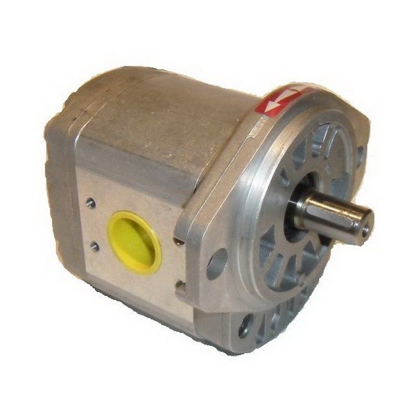 Gear motor