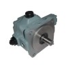 Gear motor