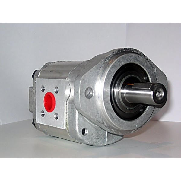 Gear motor