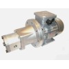 Gear pump