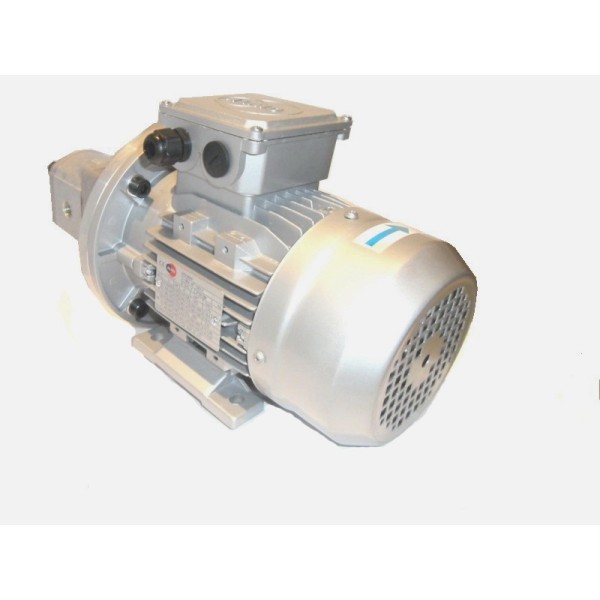 Gear pump