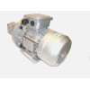 Gear pump