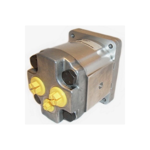 Gear motor