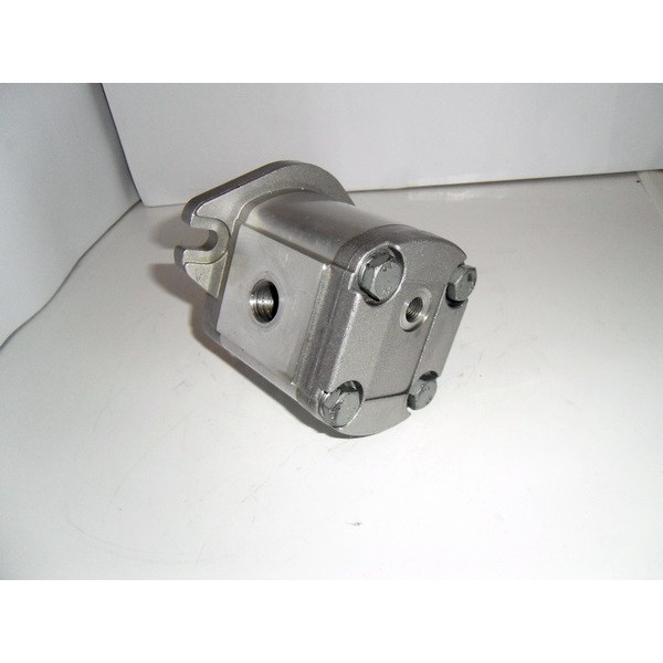 Gear motor