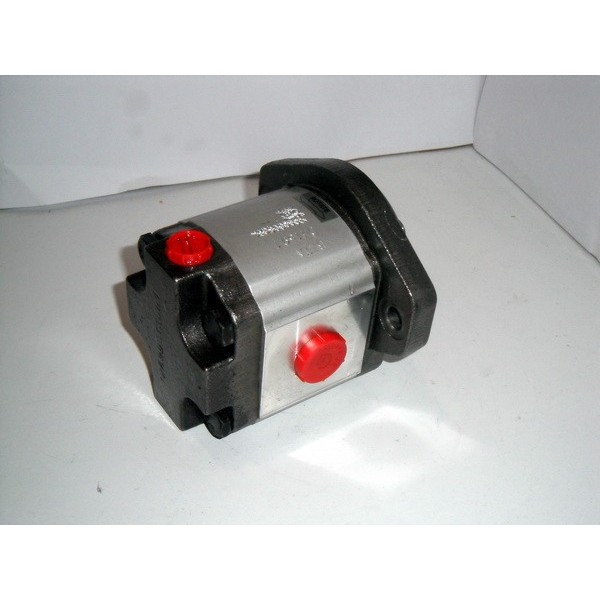 Gear motor