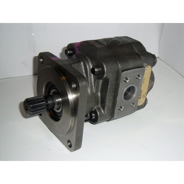 Gear motor