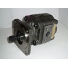 Gear motor