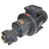 Gear pump