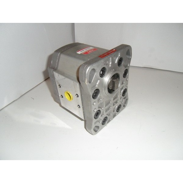 Gear motor