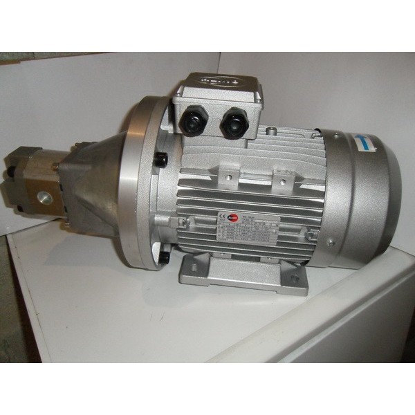 Gear pump