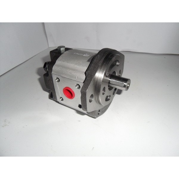 Gear motor