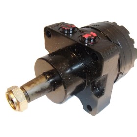 Hydraulic motor