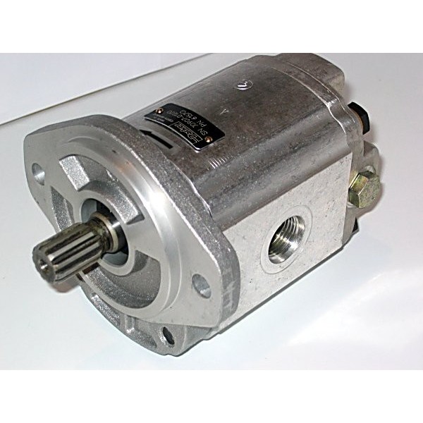 Gear motor