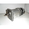 Gear pump