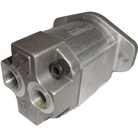 Gear pump